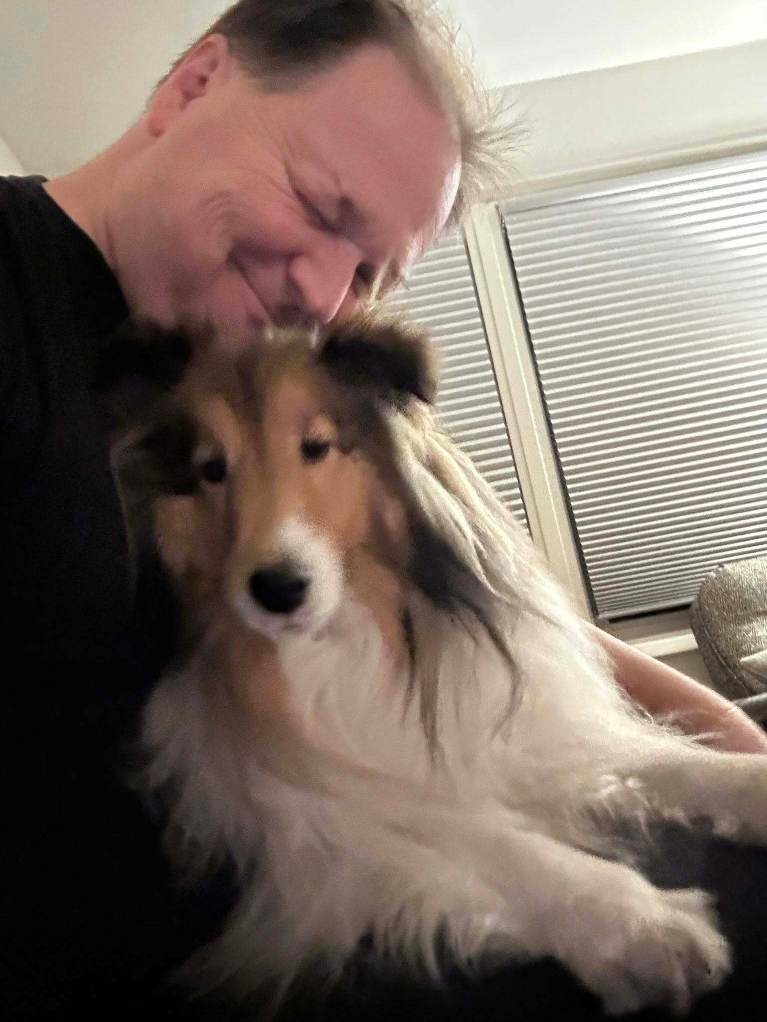 man and sheltie dog